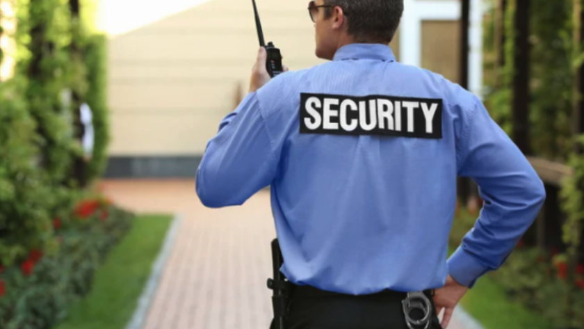 Professional Security Service