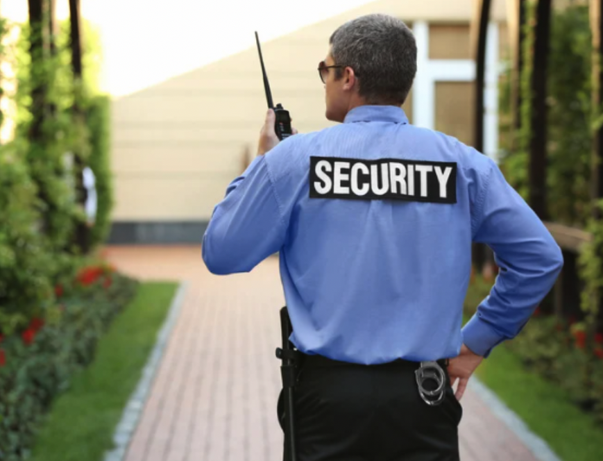 Professional Security Service